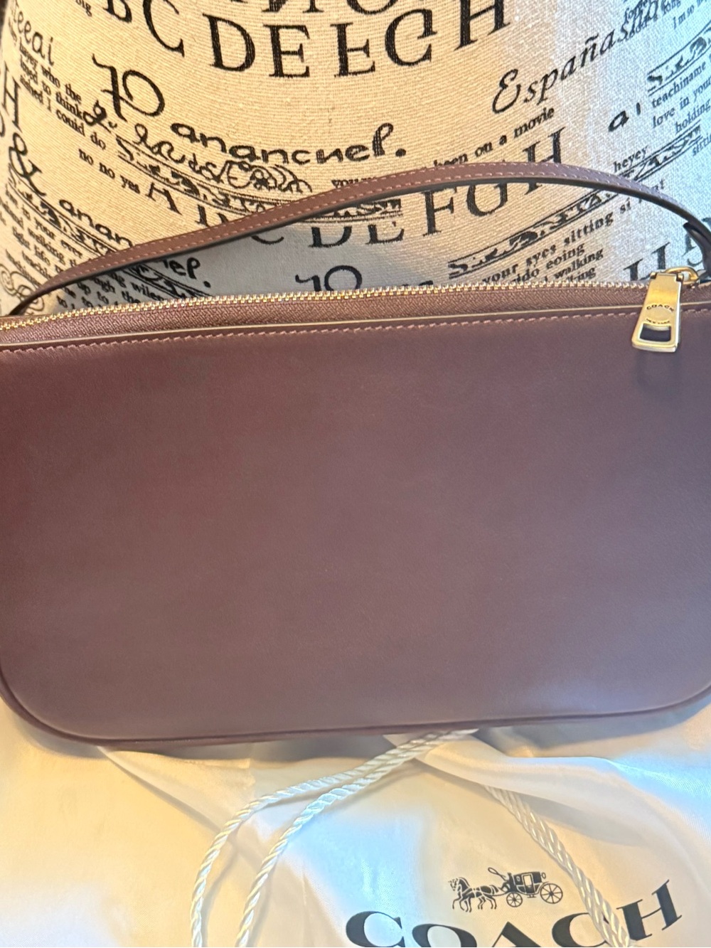 Coach Plaza 22 Full Grain Leather Shoulder Bag, Gold Hardware - Picture 7 of 11